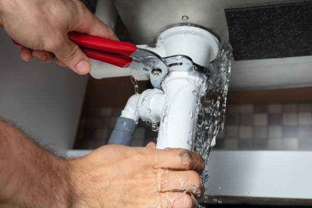 Best Mold removal after water damage  in Timberne, LA