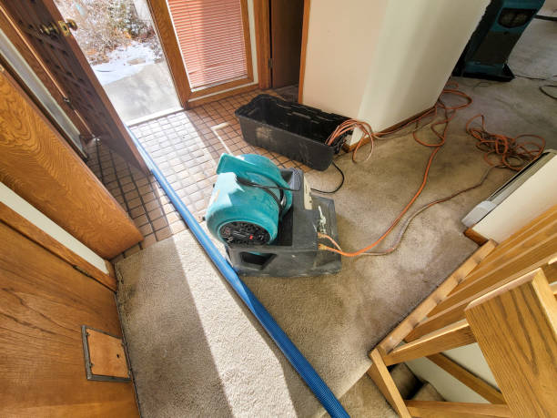 Best Emergency water damage restoration  in Timberne, LA